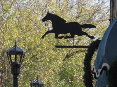 The Gift Horse image 2