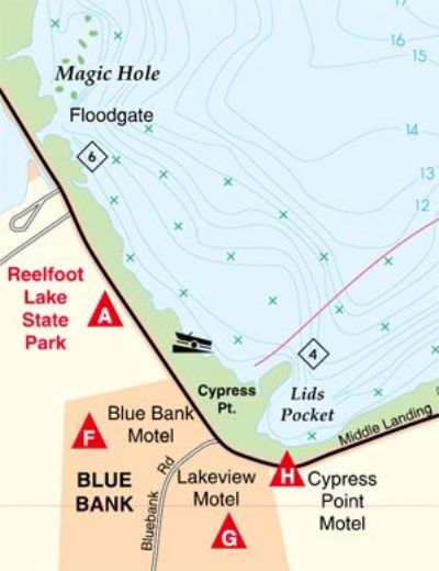 Reelfoot Lake, Tennessee Waterproof Map (Fishing Hot Spots