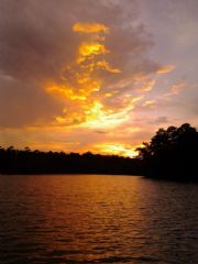 Lake Martin&nbsp;Little Kowaliga Bay