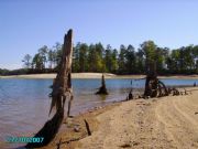 Lake Martin&nbsp;
