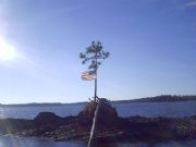Lake Martin&nbsp;Flag Island at Sunset