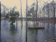 Smith Lake&nbsp;That's me paddling in my front yard (after Ivan) wl 518.4 asl