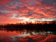 Weiss Lake&nbsp;beautiful sunrise on the river....