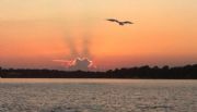 Gulf Shores - Orange Beach - Perdido Key&nbsp;