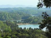 Douglas Lake&nbsp;