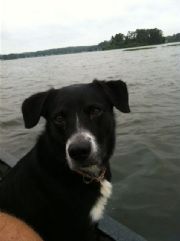 Lay Lake&nbsp;Buddy
