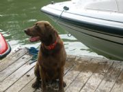 Lake Martin&nbsp;Jud