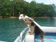 Lake Martin&nbsp;