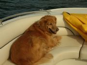 Smith Lake&nbsp;Our Girl Macy