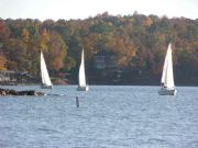 Lake Martin&nbsp;