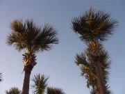 Gulf Shores - Orange Beach - Perdido Key&nbsp;