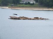 Lake Martin&nbsp;Boat on Rocks