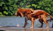 Lake Martin&nbsp;Shake it off !!!   