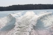 Lake Martin&nbsp;