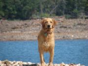 Lake Martin&nbsp;Maizy