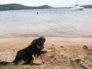 Lake Martin&nbsp;Mr.Marley