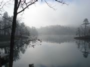 Lake Martin&nbsp;Foggy Morning at The Village