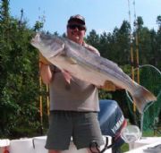 Lake Hartwell&nbsp;Phil Whitt with 44 pound Striper