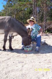Lake Martin&nbsp;Donkey and Patti Winter 04-Goat Island