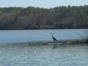 Lay Lake&nbsp;