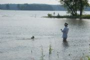 Logan Martin Lake&nbsp;Catching nice bass on fly rod June 2008