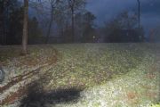 Lake Martin&nbsp;after the big storm at beginning of 2009