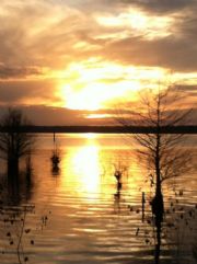 Lake Eufaula&nbsp;Sunset at Cool Branch Park