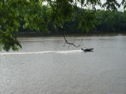 Demopolis Lake&nbsp;
