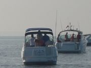 Wheeler Lake&nbsp;All lined up