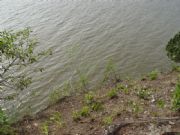 Demopolis Lake&nbsp;