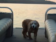 Logan Martin Lake&nbsp;