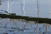 Wheeler Lake&nbsp;Dock reflections at Joe Wheeler State Park