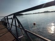 Lake Hartwell&nbsp;Morning dew