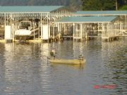 Wheeler Lake&nbsp;Fishing near Bay Hill