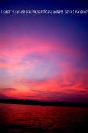Lake Martin&nbsp;Sunset in June