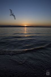 Lake Eufaula&nbsp;