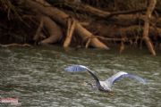Lake Lanier&nbsp;