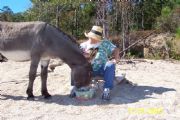 Lake Martin&nbsp;Donkey and Patti Winter 04-Goat Island