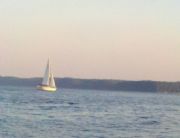 Pickwick Lake&nbsp;Pickwick Lake, TN