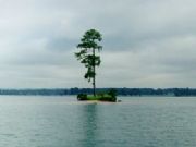 Lake Martin&nbsp;Sand Island