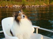 Lake Martin&nbsp;Dipper taking an afternoon cruise
