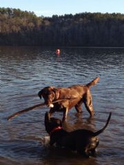 Lay Lake&nbsp;