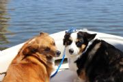 Lay Lake&nbsp;Dottie and Tater Walsh