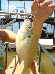 Lake Hartwell&nbsp;