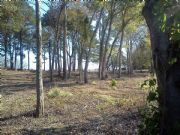 Demopolis Lake&nbsp;Lock 4 Road Boatramp