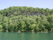 Norris Lake&nbsp;Shoreline of Norris Lake