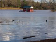 Logan Martin Lake&nbsp;Flood Jan 2009