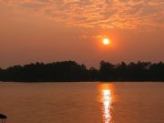 Lake Martin&nbsp;Morning Sunrise On Dogwood Trail