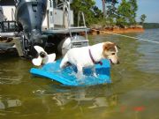 Lake Martin&nbsp;Hannah fishing from her float at weed island.