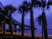 Gulf Shores - Orange Beach - Perdido Key&nbsp;Blue Hour @ the Pass